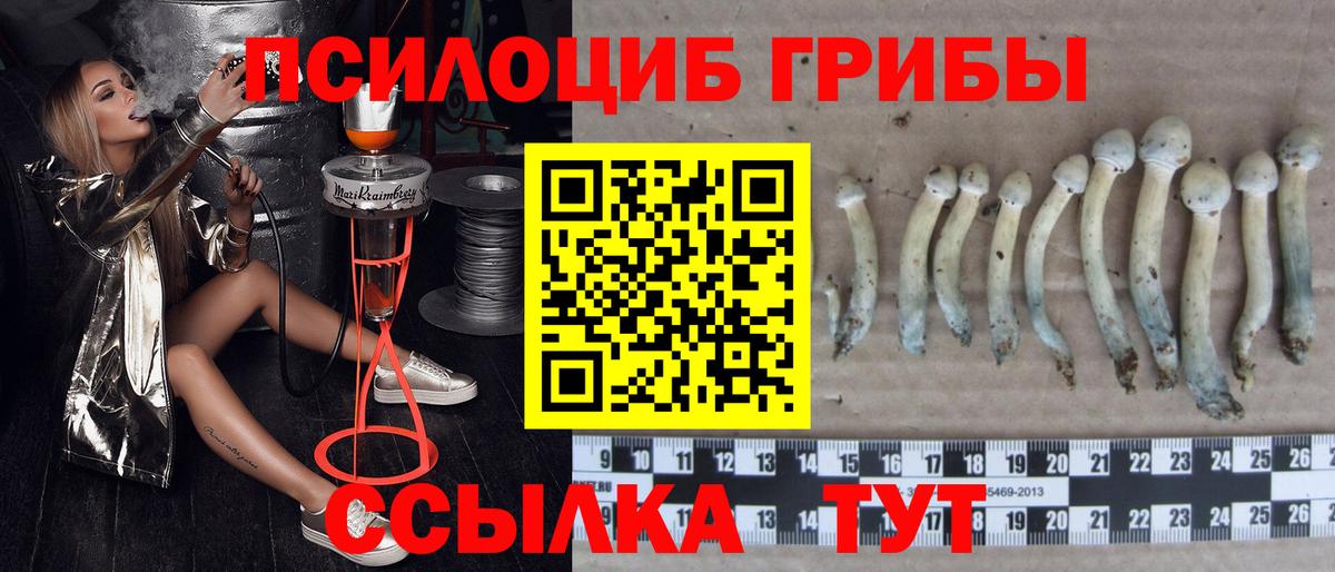 Псилоцибиновые грибы MAGIC MUSHROOMS Нижнекамск