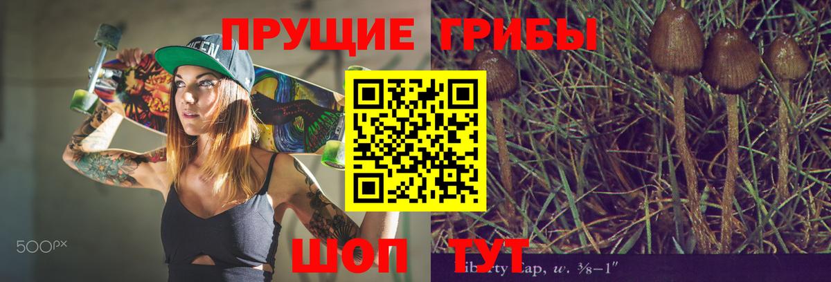 Псилоцибиновые грибы прущие грибы  Псилоцибиновые грибы Magic Shrooms  Вход с VPN  Нижнекамск 